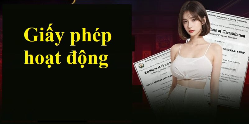 Giấy phép kinh doanh trò chơi cụ thể từ nhà cái