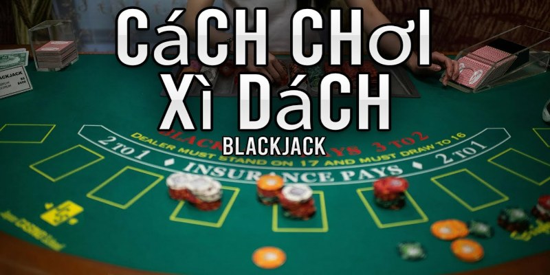 Mẹo quản lý quyết định rút bài