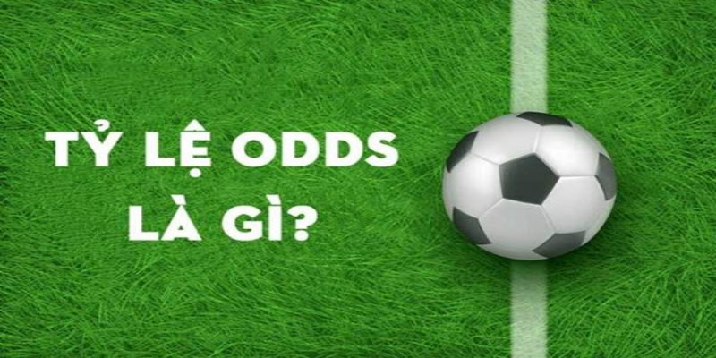Tìm hiểu tổng quan về Odds là gì